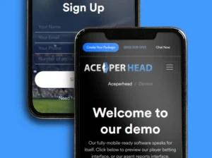 pay per head